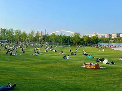 park2
